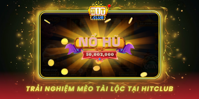 Mèo Tài Lộc HitClub Bộ Bài May Mắn Trong Xì Tố 3 Trai Nghiem Meo Tai Loc Tai Hitclub